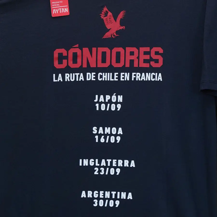 Polera Urbana Cóndores La Ruta de Chile Niños AZUL