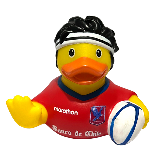 Pato DuckHouse Los Cóndores 2026